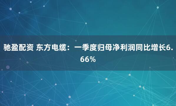 驰盈配资 东方电缆：一季度归母净利润同比增长6.66%