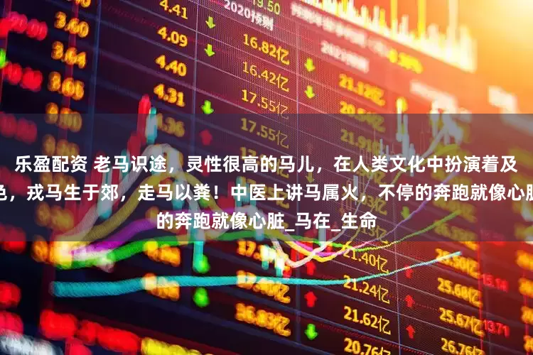 乐盈配资 老马识途，灵性很高的马儿，在人类文化中扮演着及其重要的角色，戎马生于郊，走马以粪！中医上讲马属火，不停的奔跑就像心脏_马在_生命