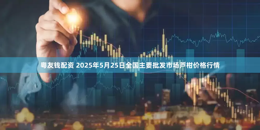粤友钱配资 2025年5月25日全国主要批发市场芦柑价格行情