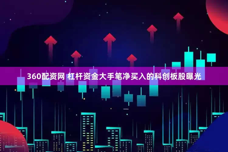 360配资网 杠杆资金大手笔净买入的科创板股曝光