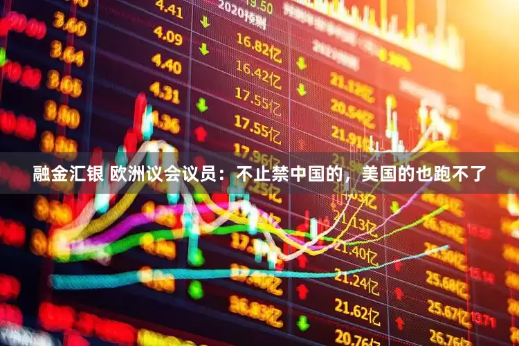 融金汇银 欧洲议会议员：不止禁中国的，美国的也跑不了